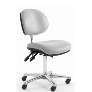 Beauty Salon Chair