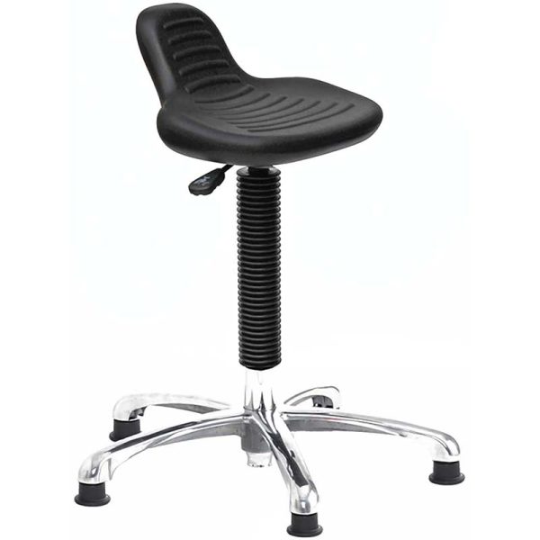 Chrome Posture Stool with Back Rest