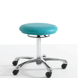 Beauty Salon Stool