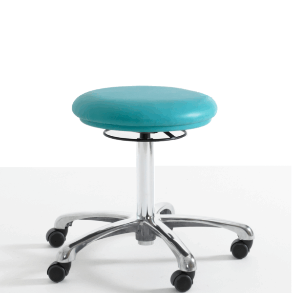 Beauty Salon Stool